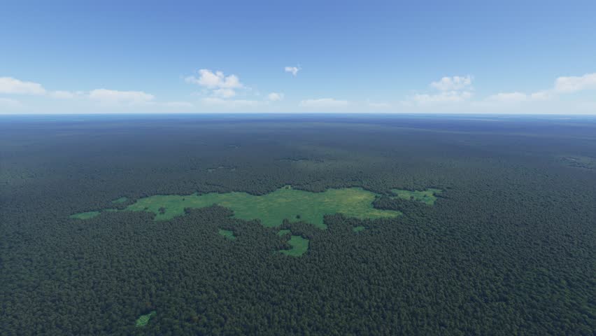 3D - Drone aerial view over Okefenokee National Wildlife Refuge in Folkston. Georgia. United States