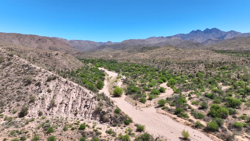 Aerial view of rugged desert landscape with Four Peaks, United States.
