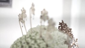 Close up of bride flower jewelry headpiece - Powered by Shutterstock - Get 15% off with code: PIKWIZARD15