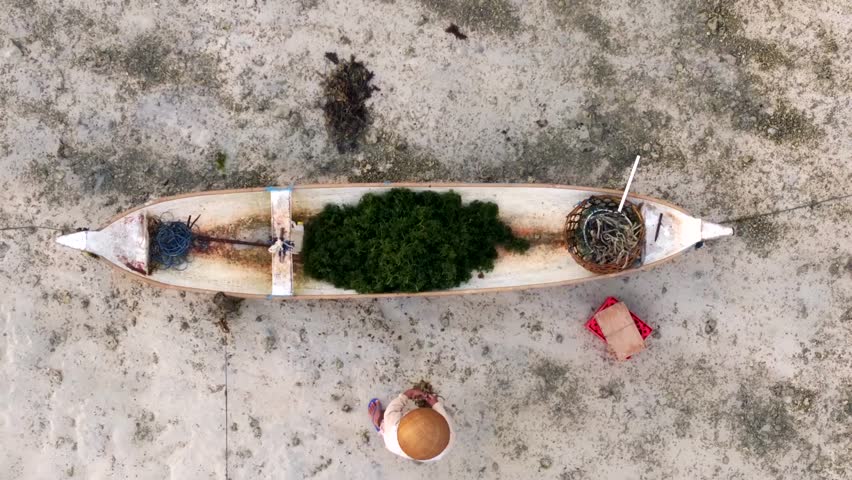 Bali, Indonesia - May 3, 2024. fishermen who were transporting their merchandise on a boat down the river