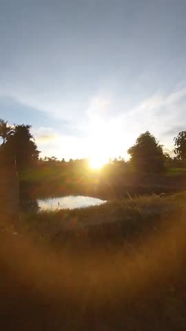 Golden sunrise over the countryside pond
