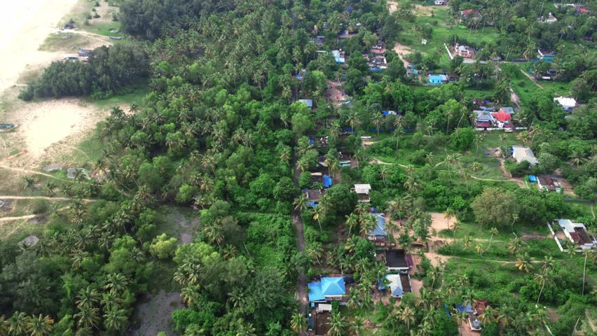 Aerial drone shot of a coastal village near the beach in Alappuzha (Alleppey), Kerala, India, featuring lush green coconut trees, traditional houses, and a serene tropical landscape.	
