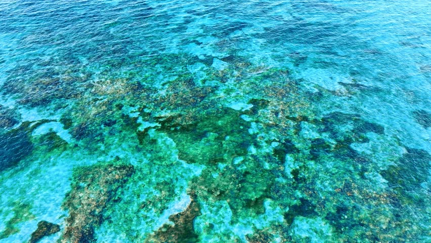 Aerial view of coral reef at low tide with rocks under emerald water. Drone view of deep blue ocean with turquoise shallow water and shiny coral reef. Underwater rock on tropical island.