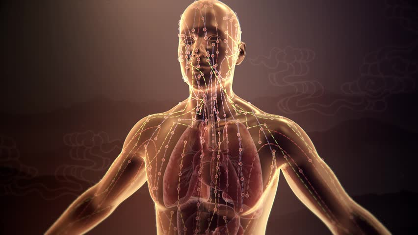 Acupuncture points on the human body, unblocking meridians, Chinese medicine, acupuncture, restoring energy to human organs, 3d animation.