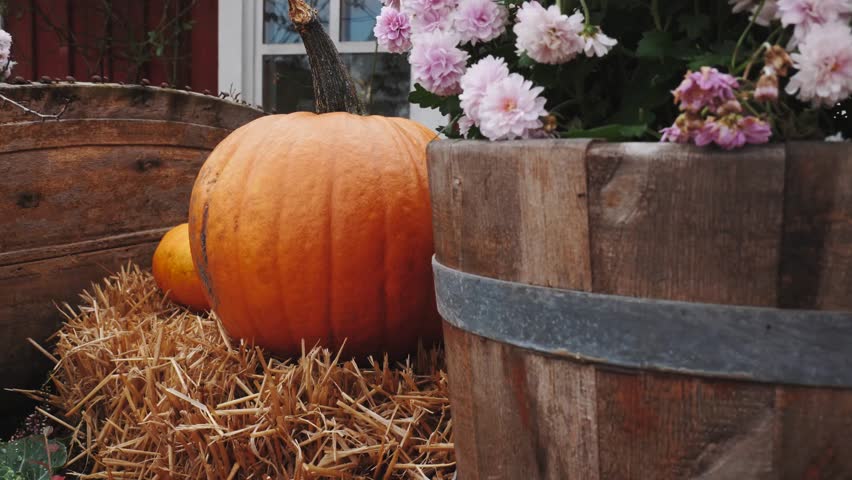 Autumn Rustic Pumpkin Hay Bale Wooden Barrel Flowers Fall Season Decoration