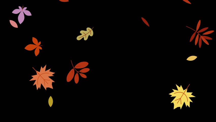 Elegant falling stylised leaves animation – hand-drawn, loopable autumn vector on black