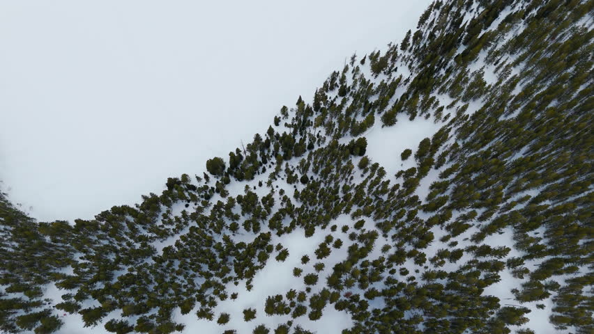 Aerial view of snow-covered pine trees in Grand Teton National Park