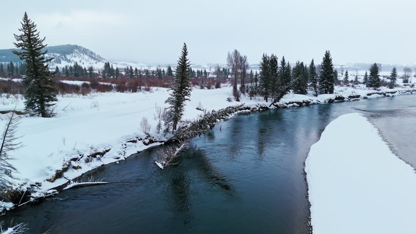 Snake River Flowing Through Snowy Forest in Jackson Hole Aerial View