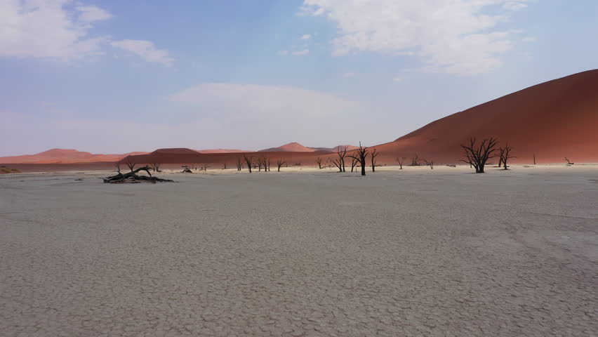 Aerial view of Desert landscape with dead camelthorn trees, Deadvlei, Sossusvlei, Namibia, abstract nature