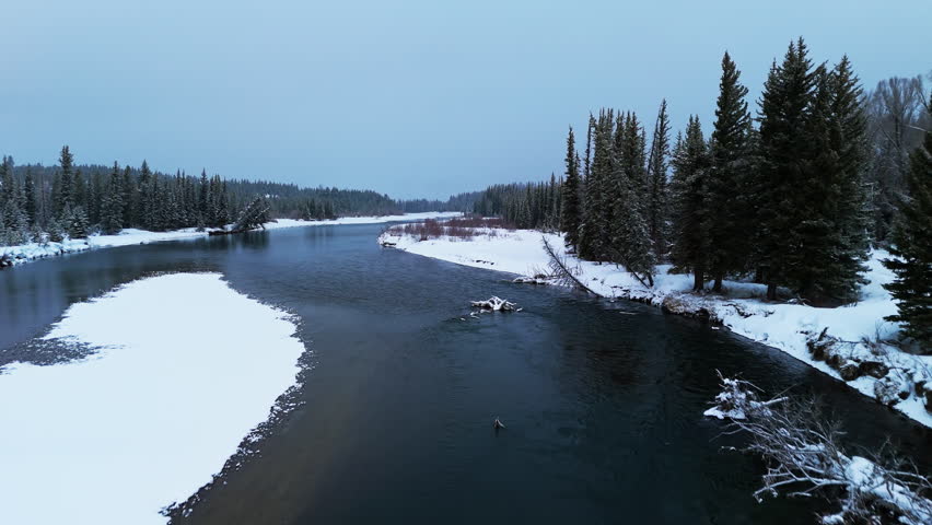 Snake River Curves Through Winter Forest in Grand Teton