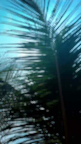 Abstract Bokeh Palm Trees against a Teal Sky Creating a Dreamy Summer Vibe Landscape