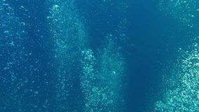 An endless stream of air bubbles rising upward from deep sea against blue water. Natural underwater background with air bubbles popping up from depths, concept of group scuba diving
 - Powered by Shutterstock - Get 15% off with code: PIKWIZARD15