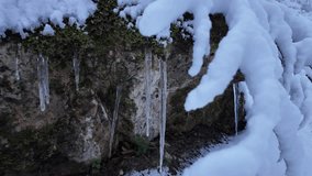 Icicles on moss and a rock in a winter forest, next to a snow-covered tree branch. - Powered by Shutterstock - Get 15% off with code: PIKWIZARD15