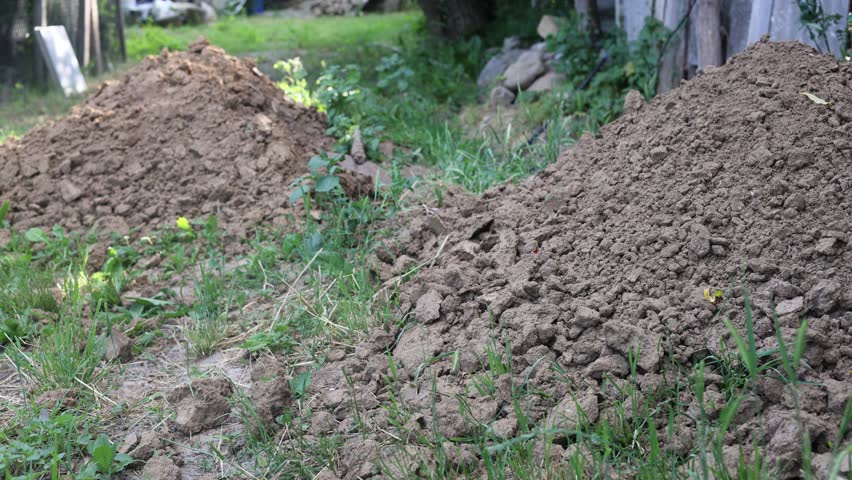 hand pulled out of the grave