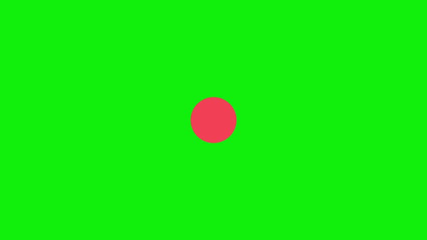 Shutterstock Video