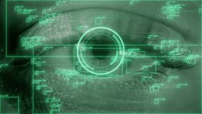 Green digital eye with biometric data. Future innovation face identification hi-tech technology. Total surveillance and retina ID concept - Powered by Shutterstock - Get 15% off with code: PIKWIZARD15