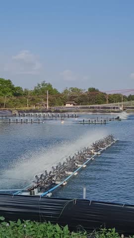 Water Aeration System in Aquatic Farm: An intricate water aeration system, essential for maintaining optimal oxygen levels, Vertical video