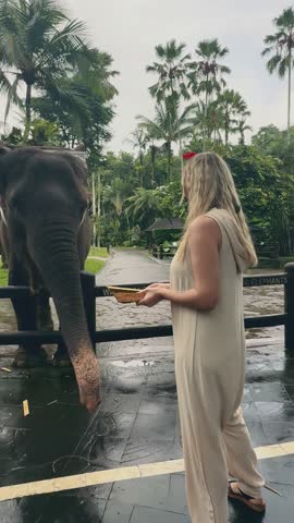 beautiful girl with smiling elephant, elephant village, bali