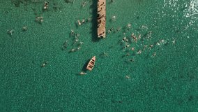 Top-down view of swimmers and snorkelers exploring coral-rich coast in Curacao.
Perfect for marine tourism, eco-travel, snorkeling guides. - Powered by Shutterstock - Get 15% off with code: PIKWIZARD15