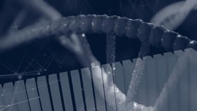 Opening 3D DNA helix starting bars rising graphing mesh forming helix rotating displaying data. Futuristic, digital, data, innovation, technology, analytics, molecular - Powered by Shutterstock - Get 15% off with code: PIKWIZARD15