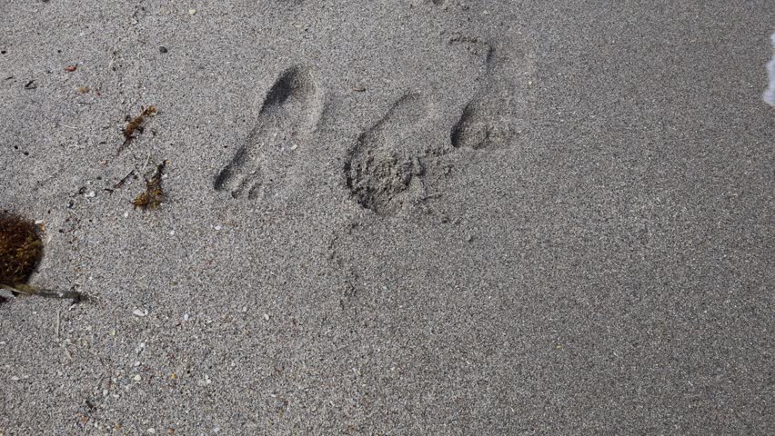 Footprint in the sand and ocean waves