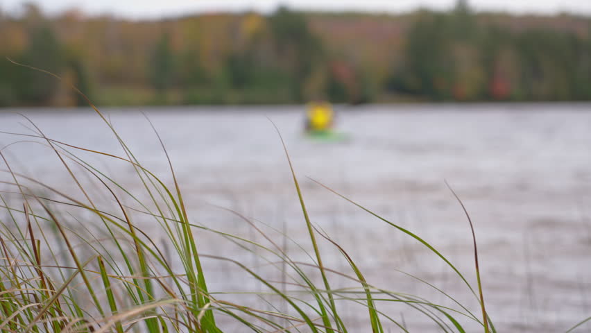 Kayaker approaches the shore through tall grass by tranquil lake in autumn