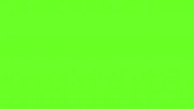 Fresh, Shiny Grapes Animation – Smooth, Realistic Motion. Ideal for food promotions, healthy infographics, or interactive UI elements. Animation, green screen background. - Powered by Shutterstock - Get 15% off with code: PIKWIZARD15