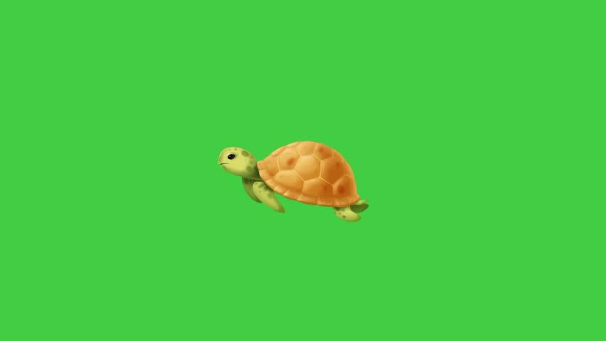 Sea turtle animation,Animal, wildlife, life, water, fish, green, tropical, Reptile  swimming, fauna, mascot, green background 