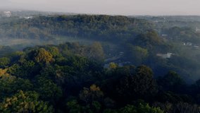 Drone backward orbit over misty tropical forest, ending with a cinematic reveal of sunrise. Sunbeams pierce through the fog, creating dramatic light rays across the lush green canopy. - Powered by Shutterstock - Get 15% off with code: PIKWIZARD15