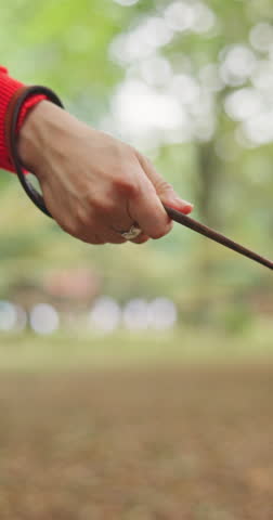 Walk, leash or hands of person with pet at park for outdoor adventure, companion and bonding. Dog, relax and travel in nature with rope, lead and animal for fresh air, exercise and peace in woods