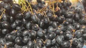 Fresh black seedless grapes in close-up with glossy skin and rich clustered texture - Powered by Shutterstock - Get 15% off with code: PIKWIZARD15