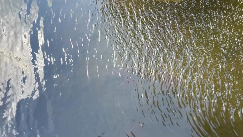 Water surface swaying gently with breeze, showing subtle waves and calm reflections