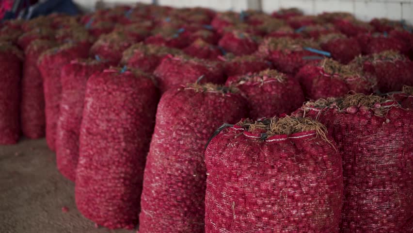The red onion harvest in red sacks. The main onion harvest in Indonesia