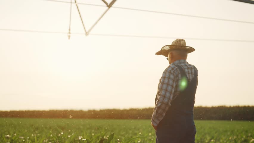 Modern irrigation system pouring fresh water on young green plants in field. Senior farmer viewing beautiful fake rain in sunny day, watering agricultural land for good harvest in farmland, scenery
