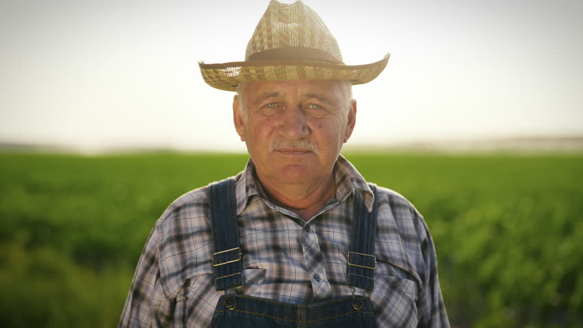 Portrait of senior farmer in beautiful agricultural field in summer in sunny day . Professional farm worker looking at camera, agribusiness and farming in ecological region, cinematic medium portrait