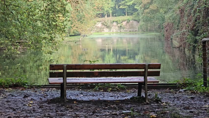 Peaceful Park Bench Overlooking a Tranquil Lake – Parc de la Citadelle, Lille, France