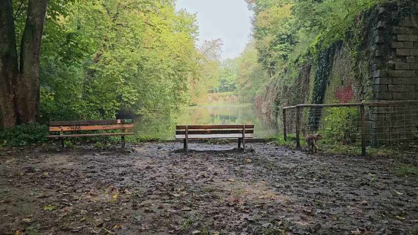 Peaceful Park Bench Overlooking a Tranquil Lake – Parc de la Citadelle, Lille, France