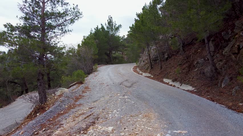 The road between the trees on Kaz Mountain