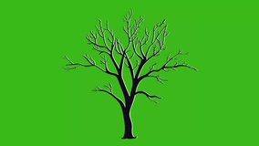 A barren tree silhouette stands starkly on a vibrant green screen, ready for seasonal changes or abstract animation - Powered by Shutterstock - Get 15% off with code: PIKWIZARD15