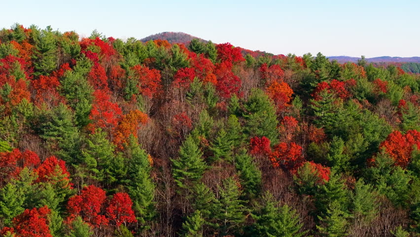 Appalachian mountain hills covered in autumn foliage. Rich forest canopies of red, orange, and yellow colors