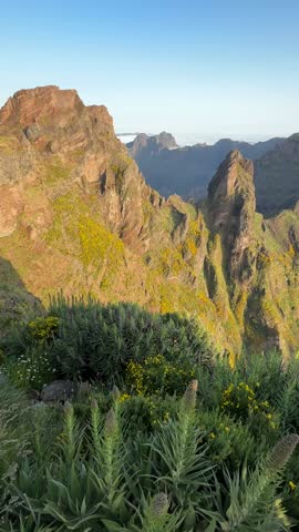The Pico del Arieiro mountain range, illuminated by the warm dawn sun and covered with greenery and yellow flowers. Madeira, Portugal