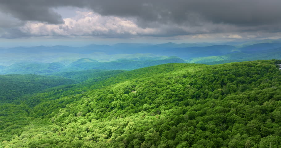 Humid forest in North Carolina Appalachian mountains, USA. American nature in summer rain season