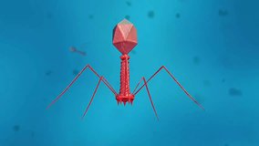 3D animation of bacteriophage virus attaching to bacteria and injecting its genetic material inside. - Powered by Shutterstock - Get 15% off with code: PIKWIZARD15