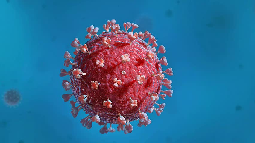 3D animation of influenza virus displaying its spherical shape, surface proteins, and infection process.