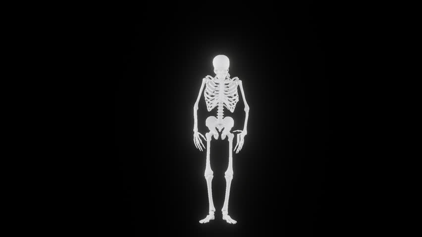 Looped animation of a skeleton on a transparent background. hip hop dance.  PNG sequence