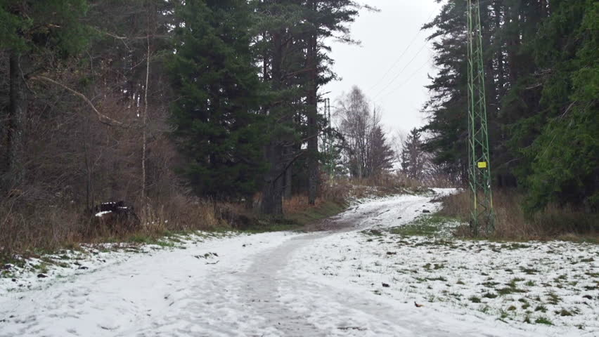 A beautiful nature video of a snowy mountain road, pine, fir and birch trees on the Vitosha mountain in Sofia, Bulgaria.