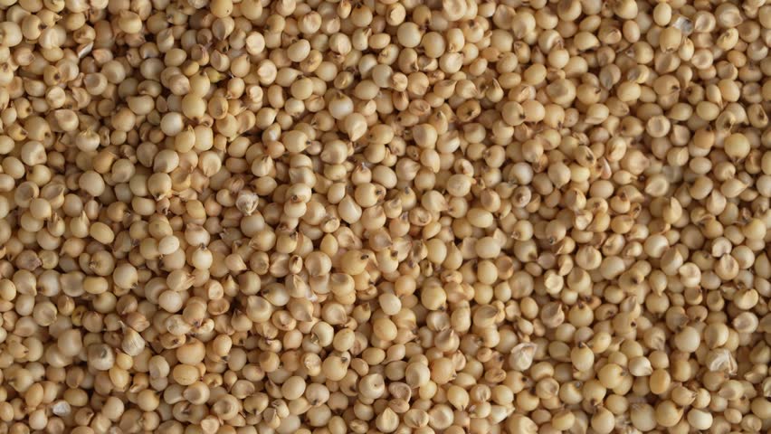A rotating high-angle footage of a large pile of light brown, round, raw Great Millet (Jowar, Sorghum) grains