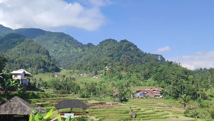 June 20, 2025, Cisalada, Purwabakti Village, Pamijahan District, Bogor Regency, West Java Province. Terrace-lined rice fields.