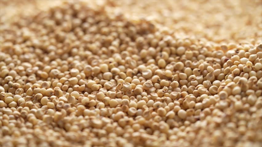A close-up footage of pouring raw Great Millet over a heap of light brown, round Great Millet grains, with blurred background