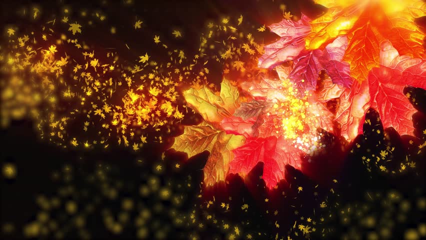 Autumn animation of falling maple leaves. Conveys the atmosphere of autumn nature.
